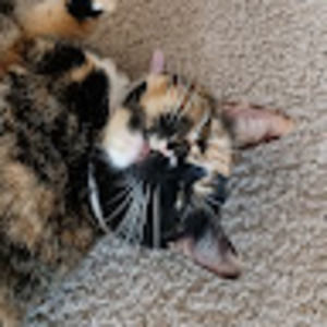 Meet your Posher, Danielle